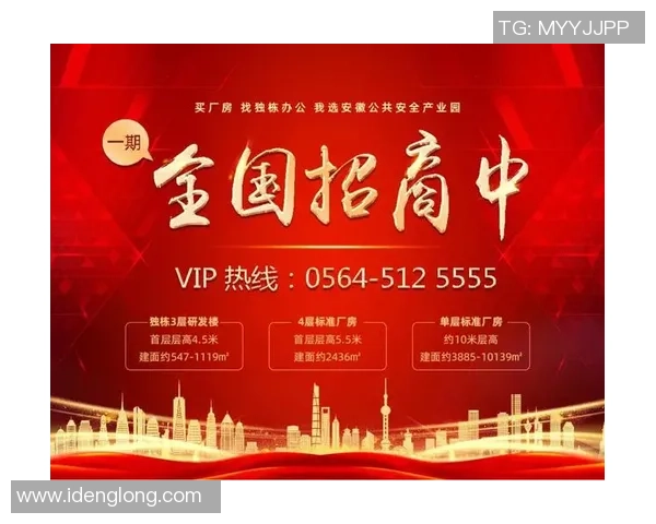 重庆排球队整体压制革新之路探秘与未来展望